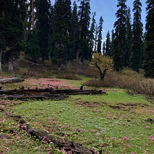 Botapathri — The untouched side of Gulmarg!