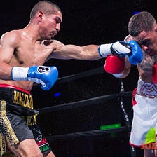 Local boxer ends hiatus, returns to Parx June 15