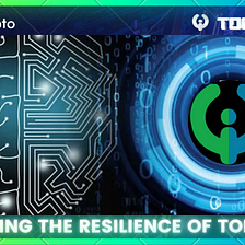 3 Reasons Why Tokoverse is a Highly Resilient Crypto Ecosystem