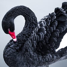 The Black Swan Event That Will Plummet Bitcoin
