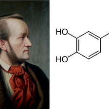 Dopamine, Richard Wagner, and the Love Death