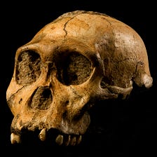 Hominid remains from the “Cradle of Humankind” are up to a million years older than previously…