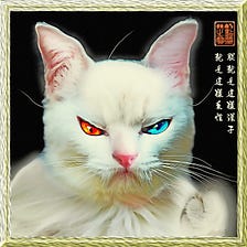 12 TYZU Art Portrait Style Avatars for Cat Edward