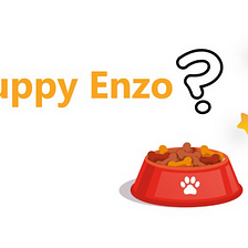 PUPPY ENZO | Decentralized, Community-backed Launchpad, NFT, DeFi and Meme Token