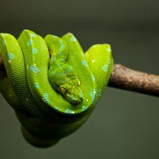 5 Python Libraries for Cyber Security