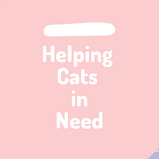 Helping Cats in Need!