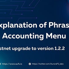 Explanation of Phrases in Testnet Accounting Menu