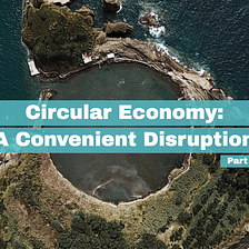 Circular Economy: A Convenient Disruption — Part 2