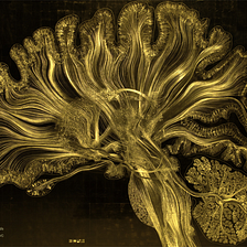Innovation at the Intersection of Art, Neuroscience and Design