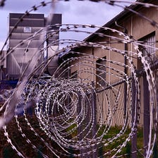 If I Were President Presents. . . . Prison Reform