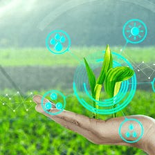 How Harnessing Precision Technology Beneficiate The Horticulture Farmers.