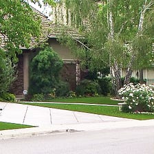 The Effect of a Dead or Dying Lawn on Your Home’s Value