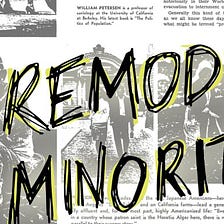 Examining the Model Minority Myth