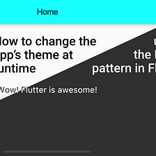 Change flutter Application Theme dynamically using “Hydrated-bloc”