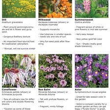What to Plant Now: Pollinator-Friendly Plants