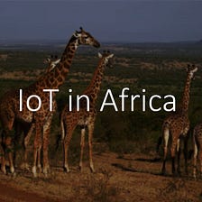 IoT in Africa: The Kenya Animals, The Poachers, and IoT