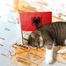 Eagerly Packing up Paints, Brushes, and one Tail-less Cat, Moving to Amazing Albania