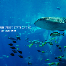 Hawaii recently became the first state in the U.S. to ban shark fishing.