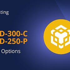 BNBUSD-300-C & BNBUSD-250-P Everlasting Options listed on Deri Protocol