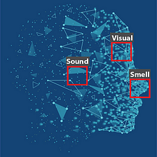 21 Years Old and Growing with our Multi-Sensory AI