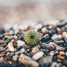 How to use DeepLab in TensorFlow for object segmentation using Deep Learning