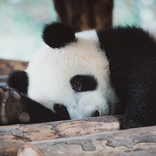 10 Python pandas tricks all data scientists should know… 👌