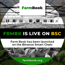 FarmBook (FRMBK) Swap Instructions