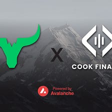 Yield Yak announces partnership with Cook Finance to optimise yields for first Avalanche Indexes