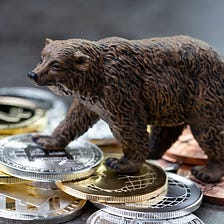 What are the Best Bear Market Buys?