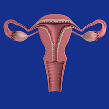 Ovarian Cysts: What You Should Know About Them