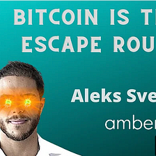 The Level Up Experience Podcast | Aleks Svetski | Bitcoin is the Escape Route
