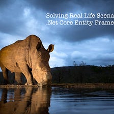 Solving Real Life Scenarios With .Net Core Entity Framework