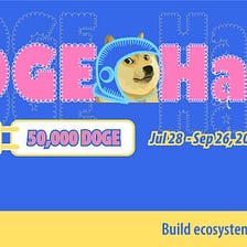 Doge Hack Application Guide. The World's First Doge Hack is coming… | by  DoraHacks | Medium