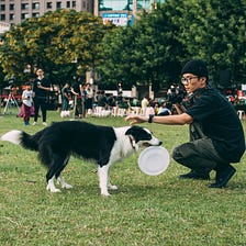 The Helsinki Puppy Parade Goes Virtual!