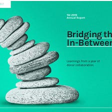 2019 TAI Annual Report