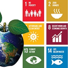 Sustainable development and how to improve on it