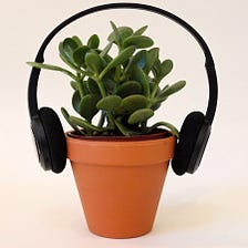 Does noise or music affect plant growth?