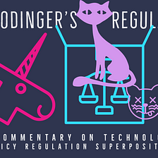 Schrodinger’s regulation: Beyond the enigma, a privacy problem