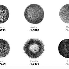 TEARS AND THEIR FRACTAL DIMENSION