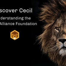 Discover Cecil - Part 2: Understanding the Cecil Alliance Foundation and its Technology