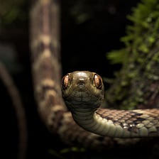 It’s all about the beauty in the details with the Wiki Loves Earth 2021 photo contest
