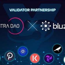 Delegating $BLZ on MANTRA DAO’s Validator