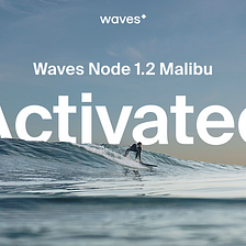 Waves 1.2 Malibu activated