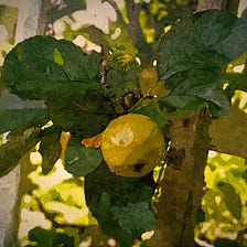 Propagating Fruit