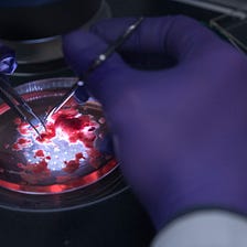 A Mini Revolution in Brain Science