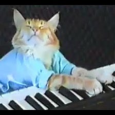 Let’s Revisit Keyboard Cat