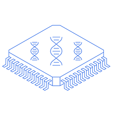 Why We Invested in Iridia