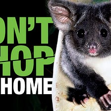 “Don’t Chop My Home” Advertisement