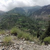 Palwasha Ikram