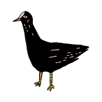 Lucinskej